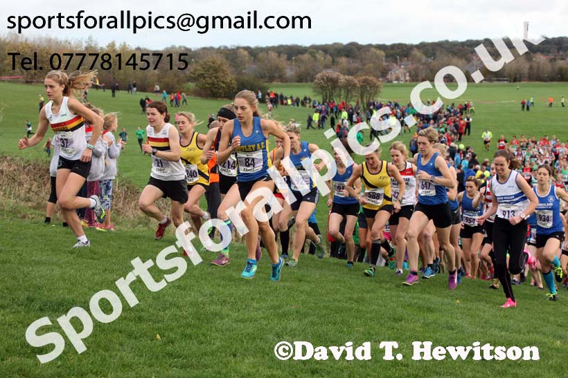 Senior womens Sherman Cup and Davison Shield, Temple Park, South Shields. Photo:  David T. Hewitson/Sports for All Pics